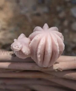 قالب سیلیکونی کاکتوس تک گل