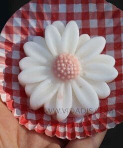 قالبقالب-سیلیکونی-بابونه-پنج-کامل