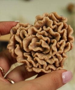 خرید قالب سیلیکونی گل قلبی پیچی