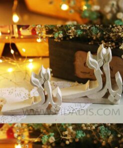 قالب سیلیکونی پدر