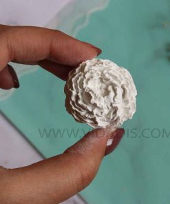 قالب سیلیکونی گل صدپر وامری