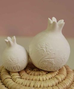 قالب سیلیکونی انار مرغ آمین