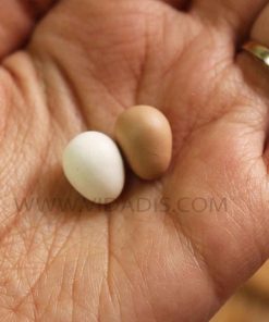 قالب سیلیکونی ست تخم مرغ مینیاتوری