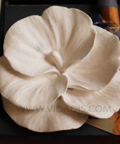 قالب سیلیکونی گل شقایق