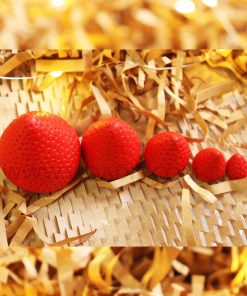 Alternative view of قالب سیلیکونی توت فرنگی در سایزبندی