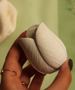 خرید قالب گل لاله