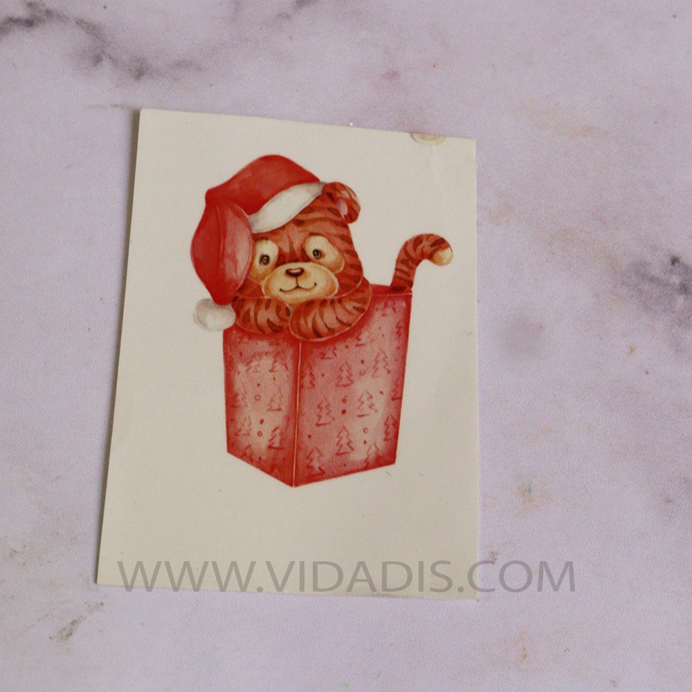 ترانسفر گربه ای شمع