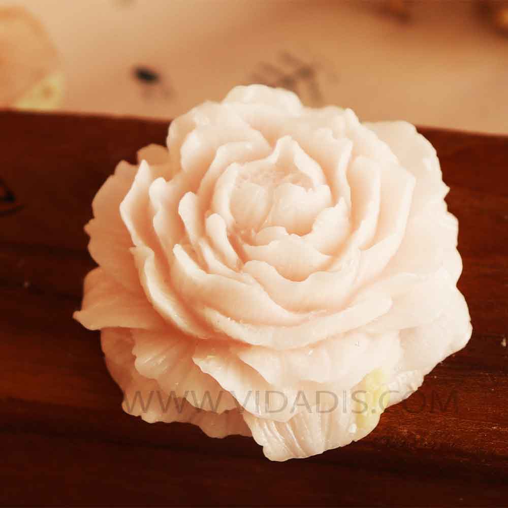 خرید قالب گل آلاله