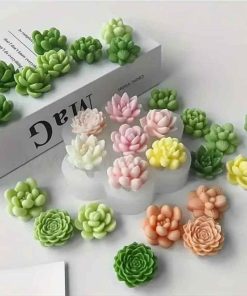 قالب ست کاکتوس 7 تایی