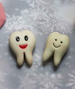 خرید قالب سیلیکونی دندون