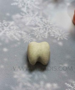 قالب شمع سازی دندون