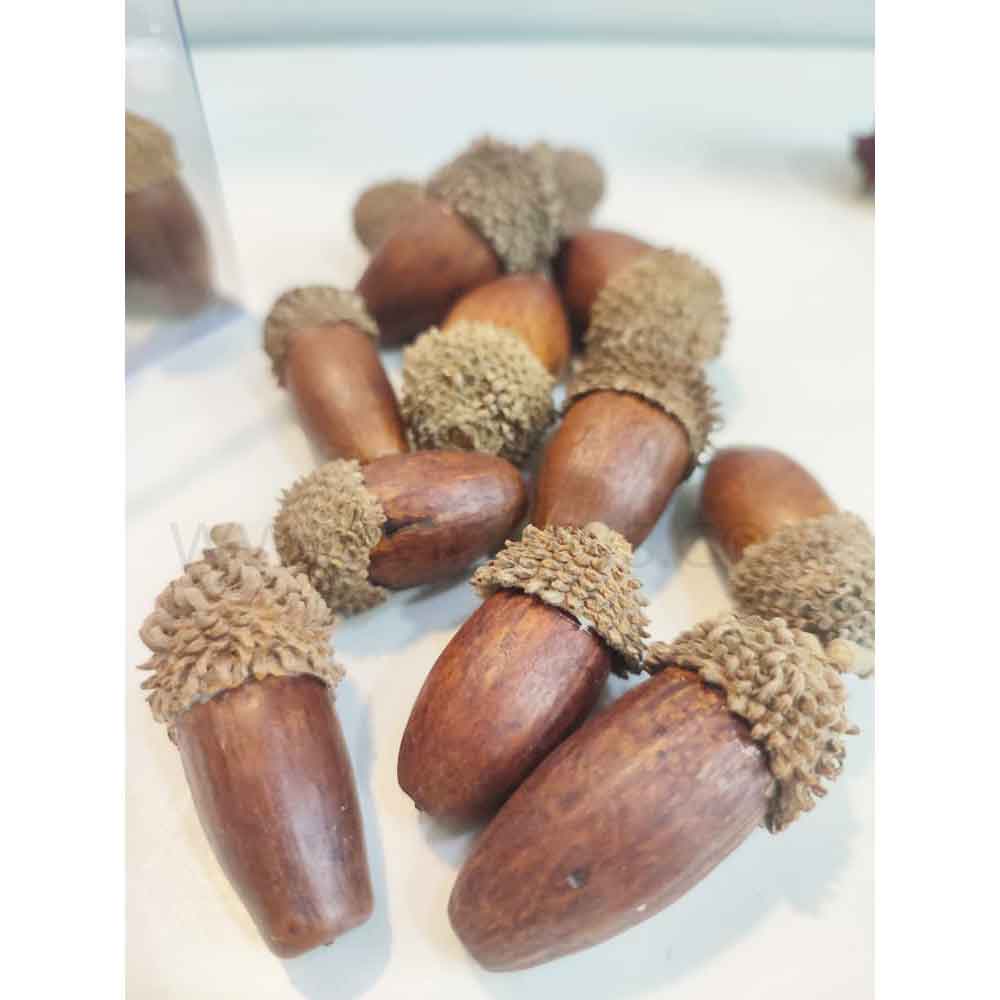 بلوط طبیعی تزئینی